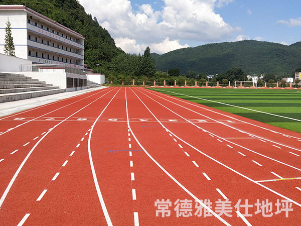 铜仁中学塑胶跑道、草坪